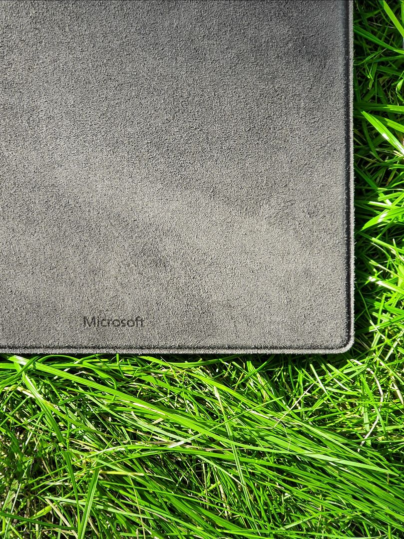 DOES THIS COUNT AS YARD WORK? 😅