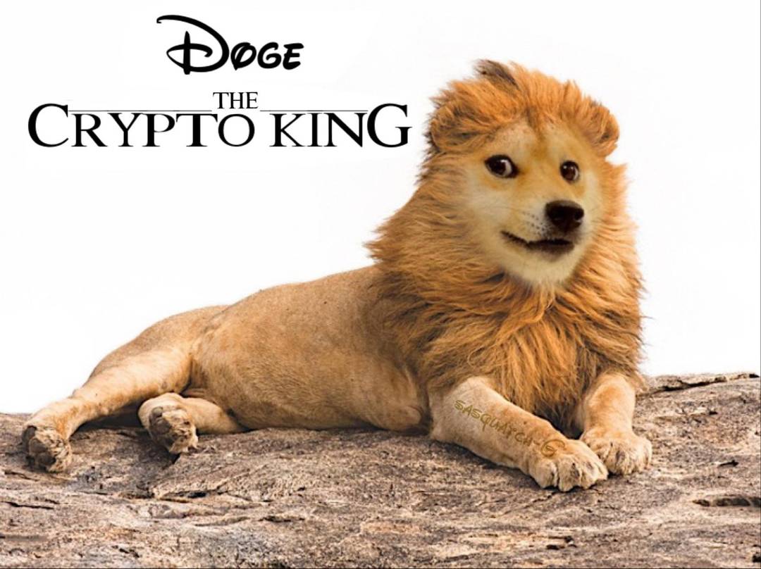 Doge