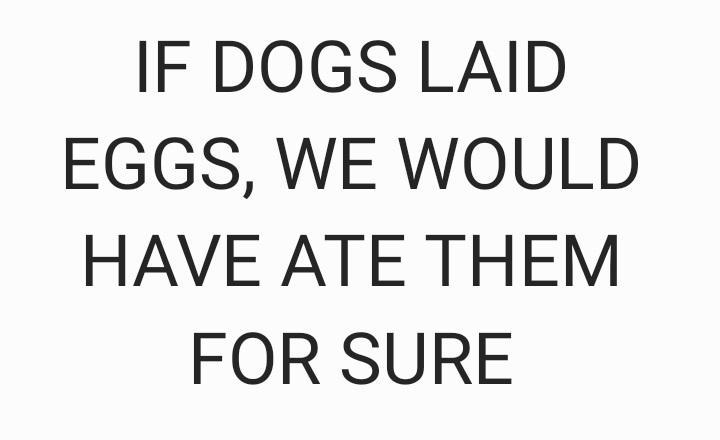 Dogeggs