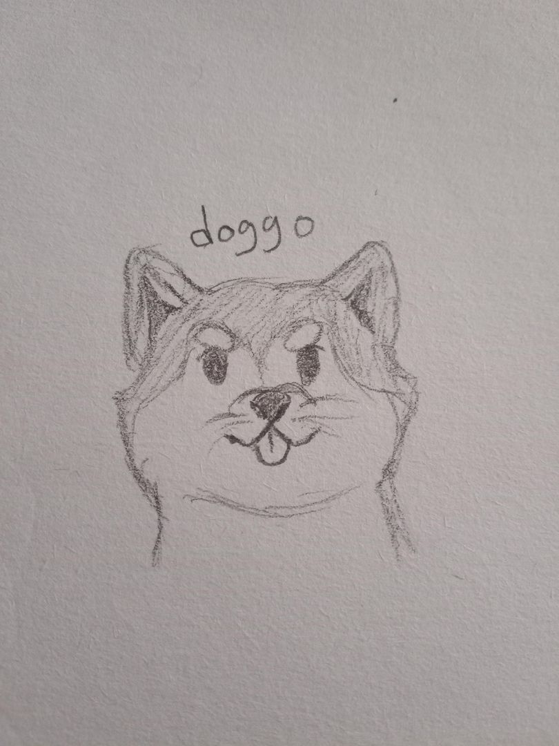Doggo drawing