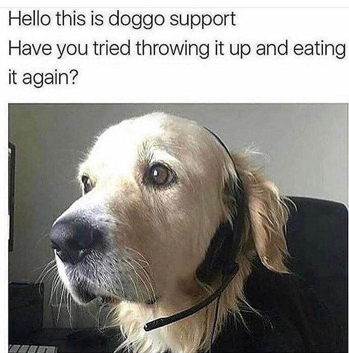 Doggo Support