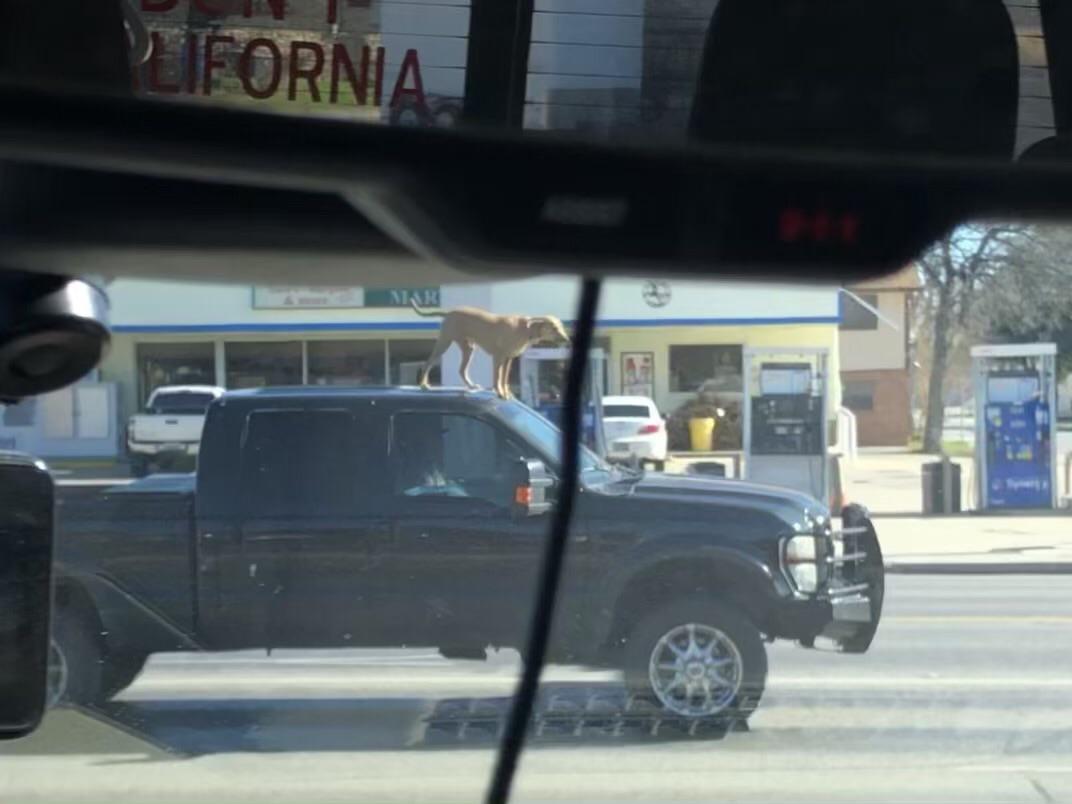 Don’t see that everyday.