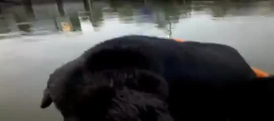 Don't mind me