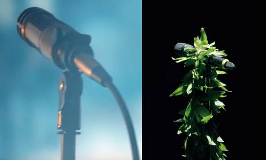 Don't mind me, just crying over goddamn empty microphone stands. :')