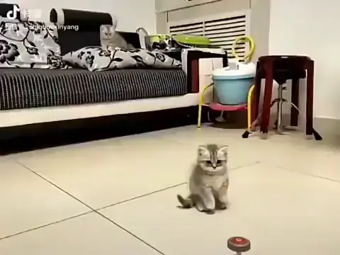 Don't touch that !!!