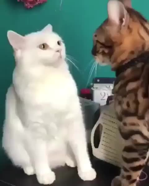 instant regret