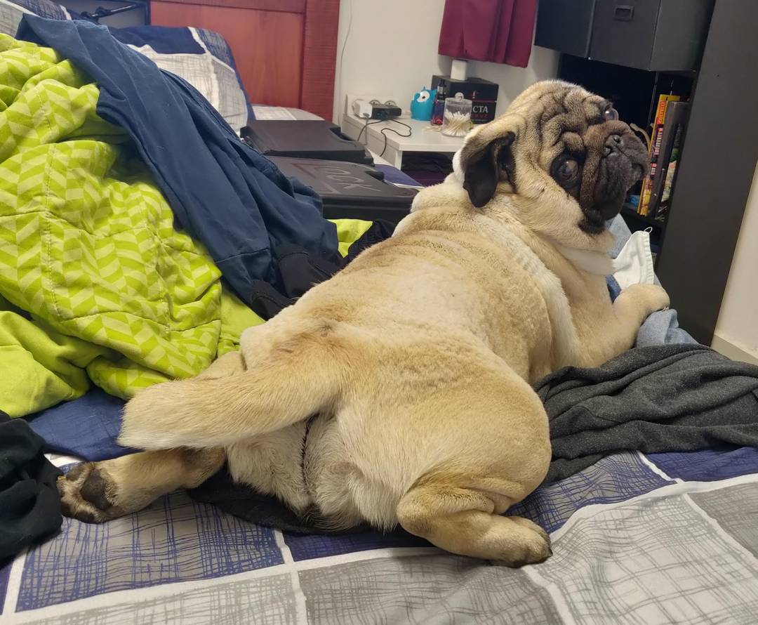 Draw me like one of your French girls