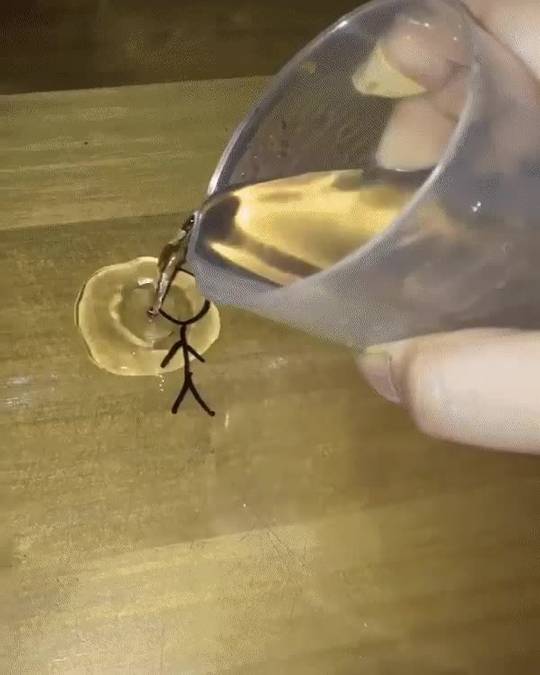 Dry erase marker reacting to water