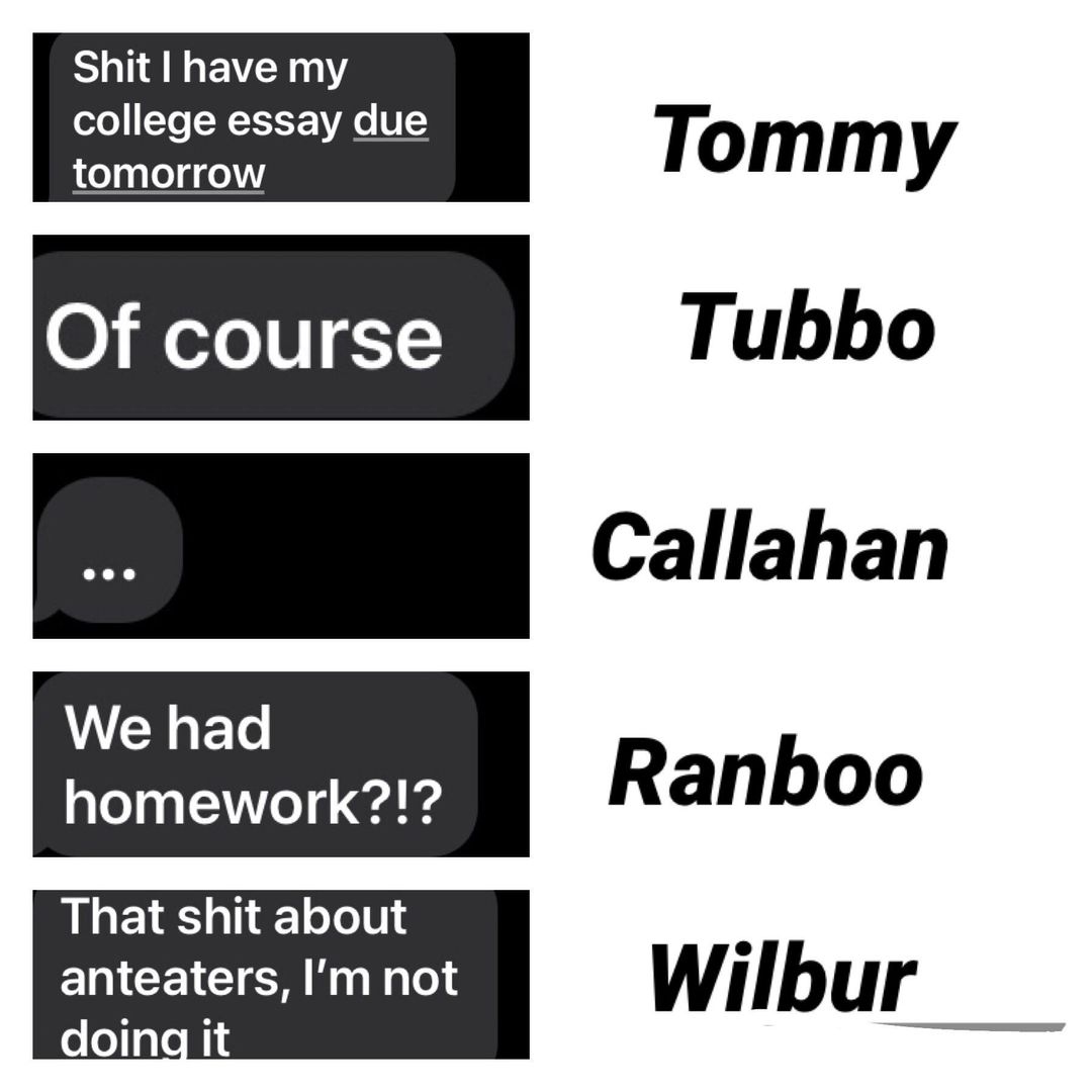 DSMP members reactions to me asking for homework answers