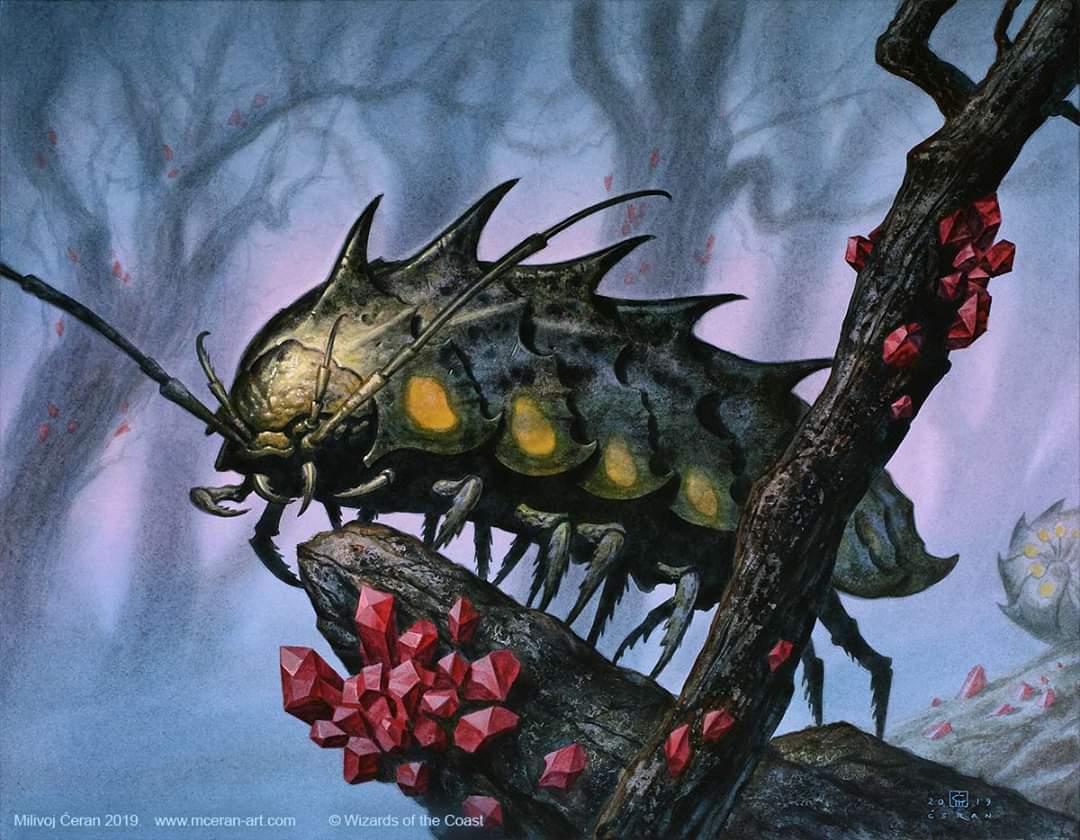 Durable Coilbug by Milivoj Ceran