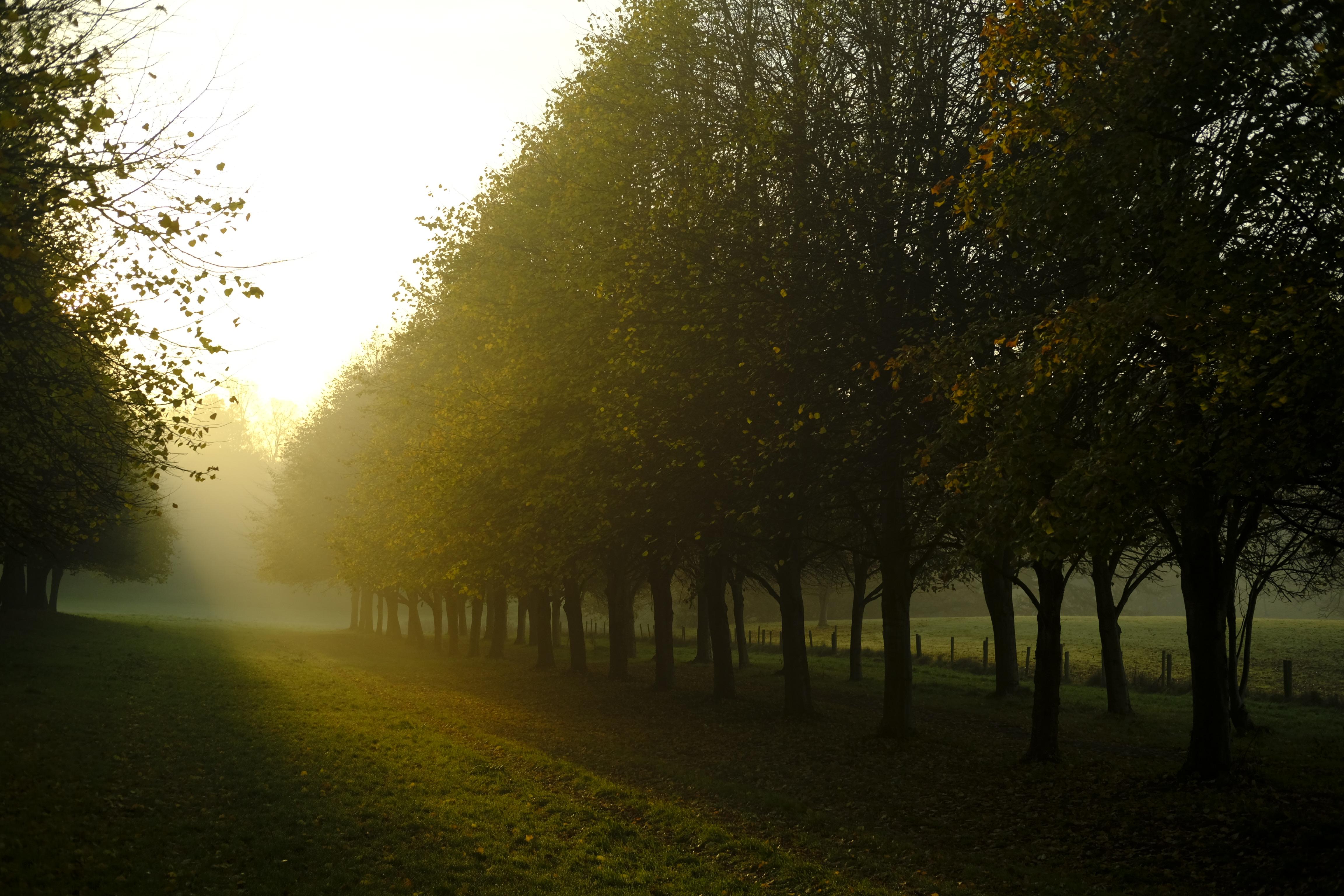 Early morning light (xt2 35mm f2) | Scrolller