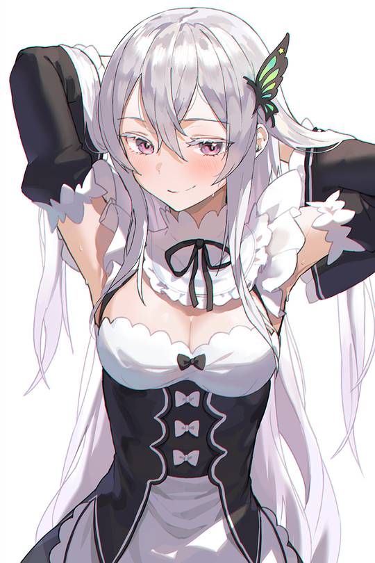 Echidna wearing Rem's Outfit [Re:Zero]