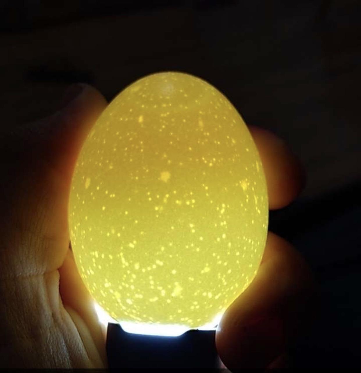 Egg on a flashlight