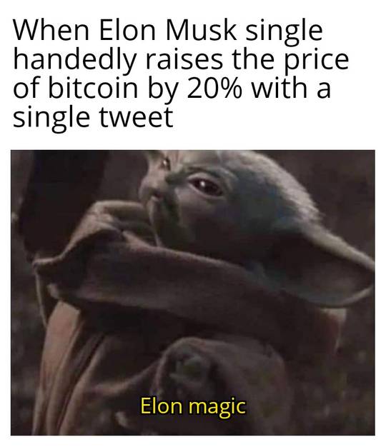 Elon magic