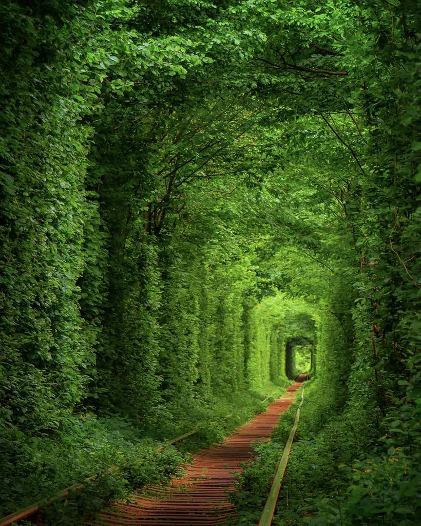 Enchanted train tunnel