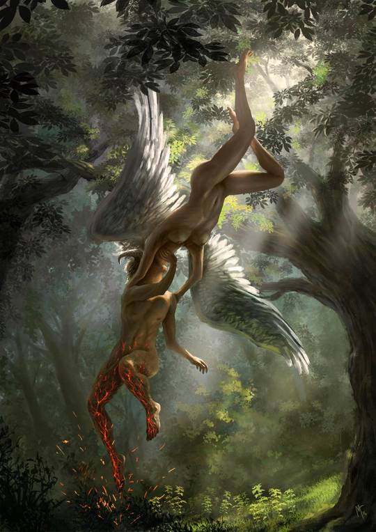 Encounter by Luis Medina