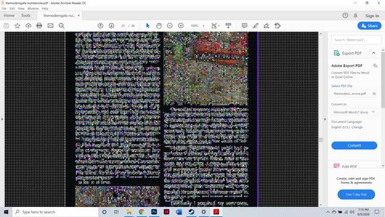 Every PDF looks like this in Adobe Acrobat Reader?