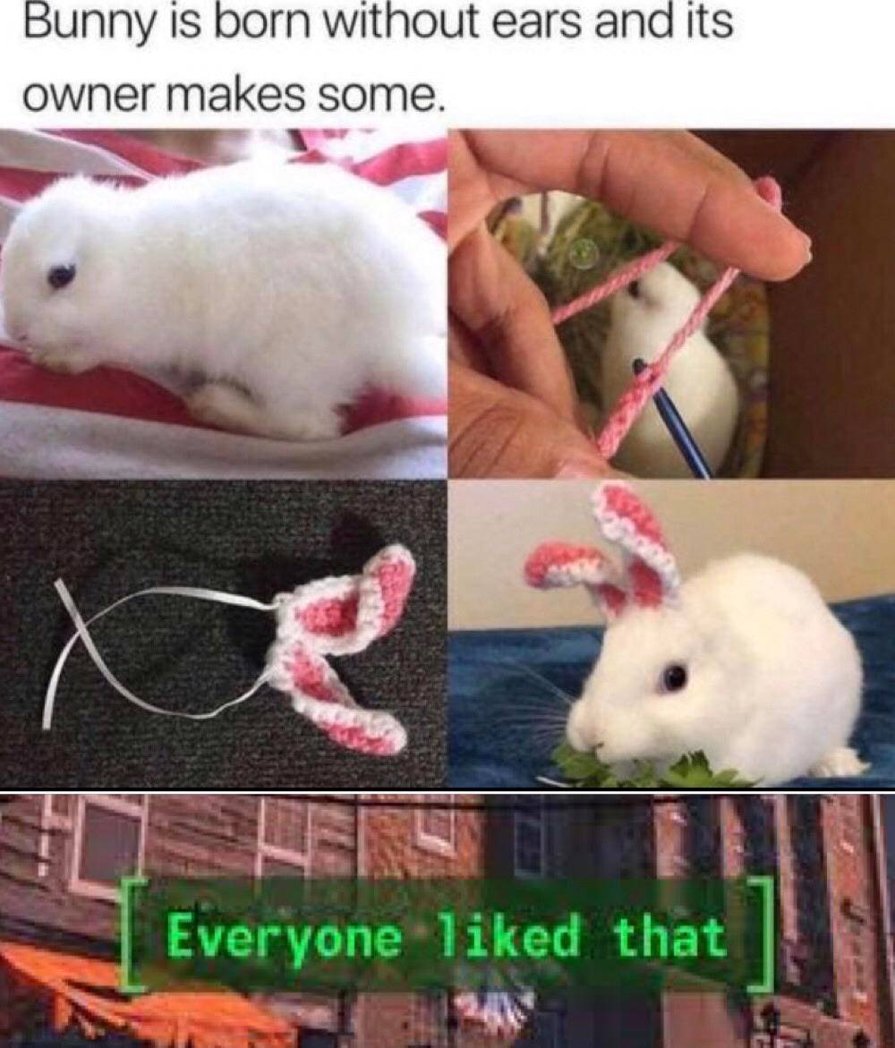Everyone liked that