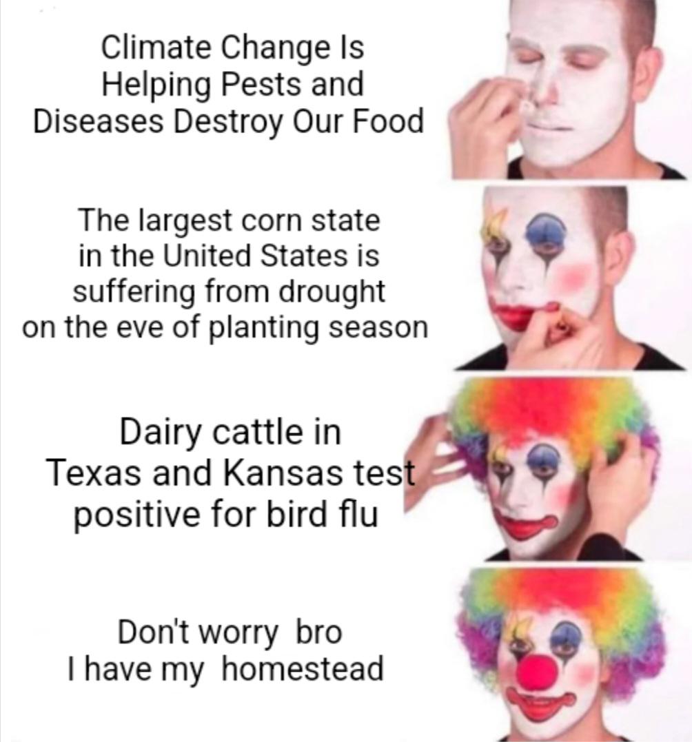 Everything is fine /s