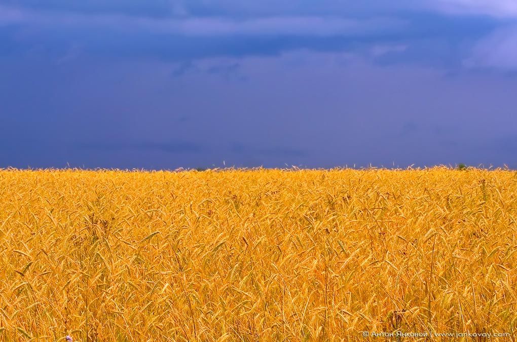 Extra-realistic flags: Ukraine