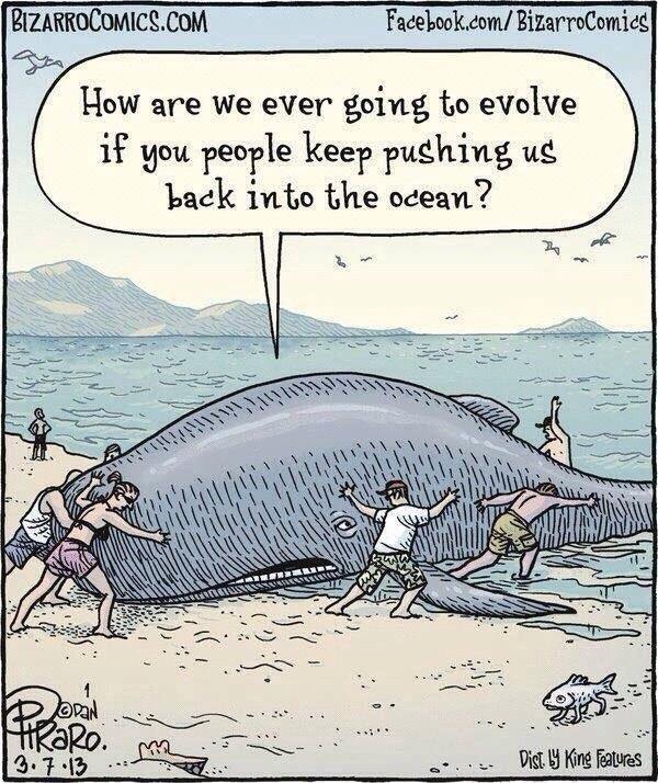 Failing Evolution