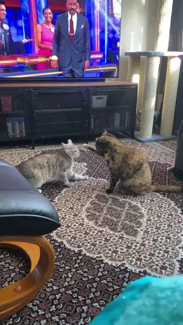 Figuring out the best attack angle