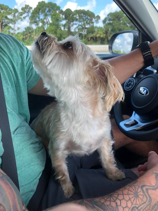 Find you a girl who mires you the way that my brother’s dog is mirin’ him.