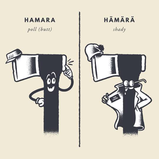 Finnish words that have a different meaning with dots over the letters a and o, round three