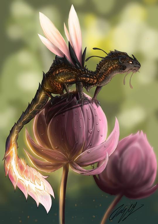 "Firefly Dragon" by Elena Marian