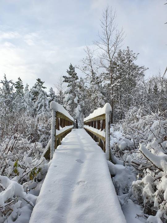 First snowfall of the season was a good one