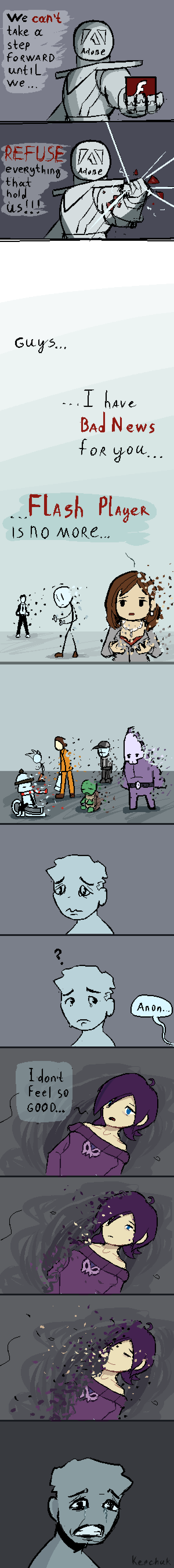 Flash player is no more...