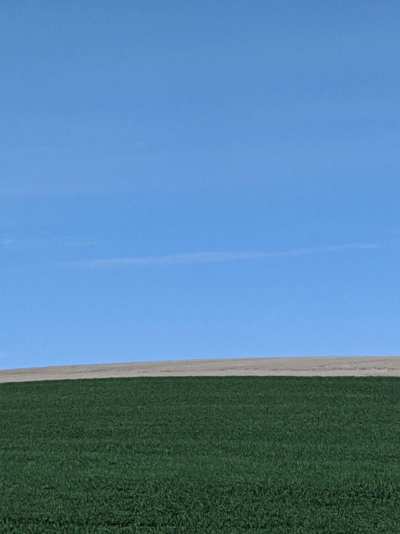 flicks from eastern washington