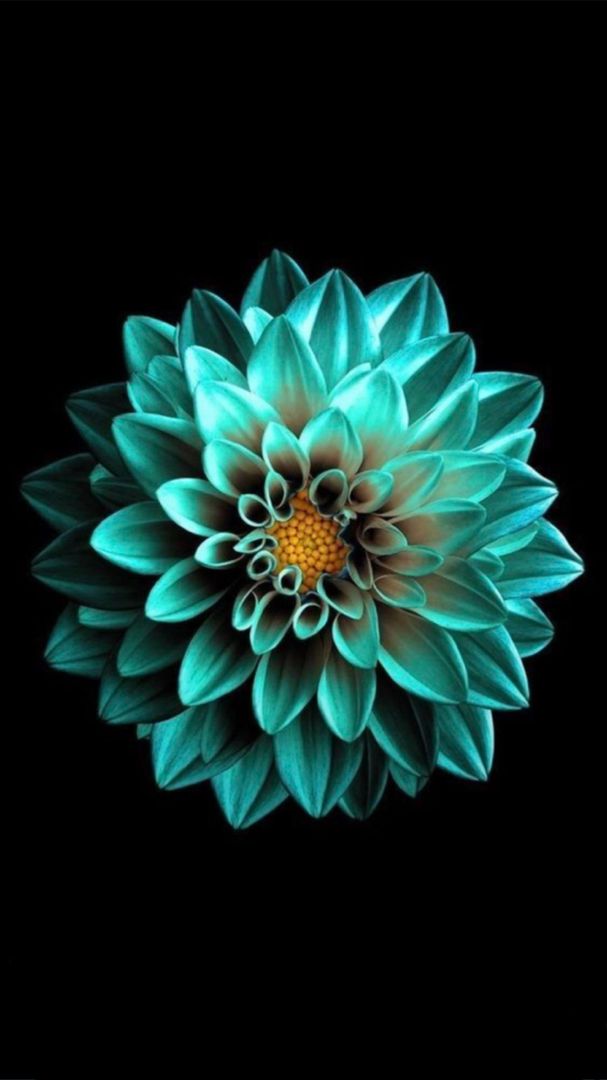 floral wallpaper