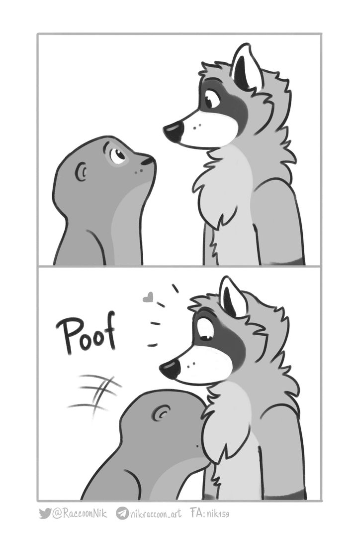 Floof! (@RaccoonNik on Twitter)