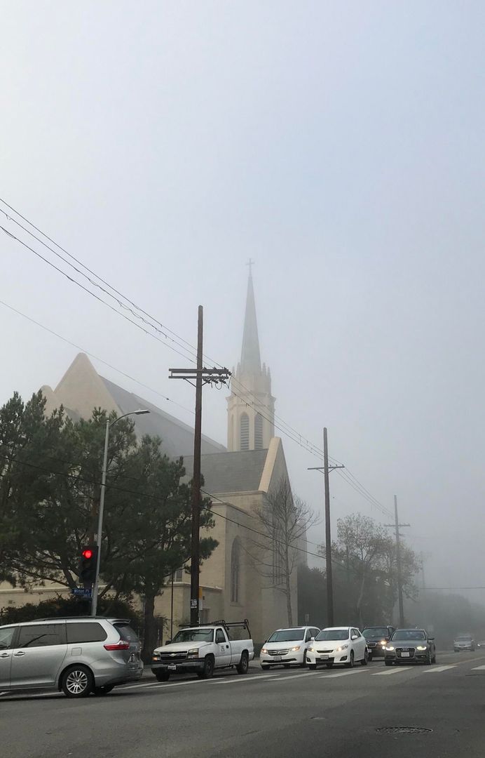 fogporn