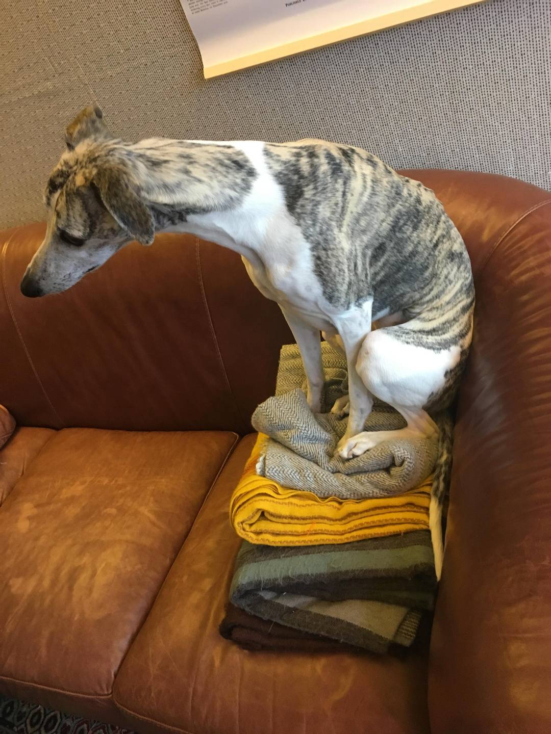 Folded, but not forgotten.