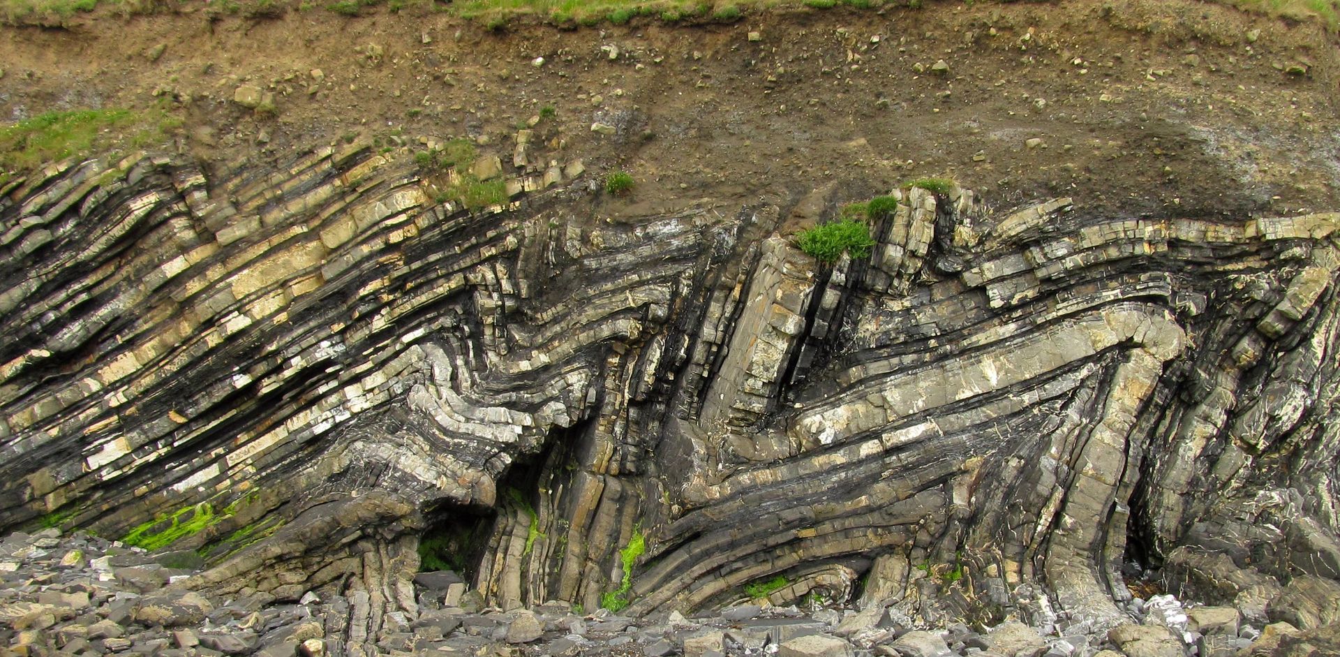 Calcareous Rocks Carbonaceous Rocks Folded sedimentary rocks (calcareous turbidite sequence) of ...