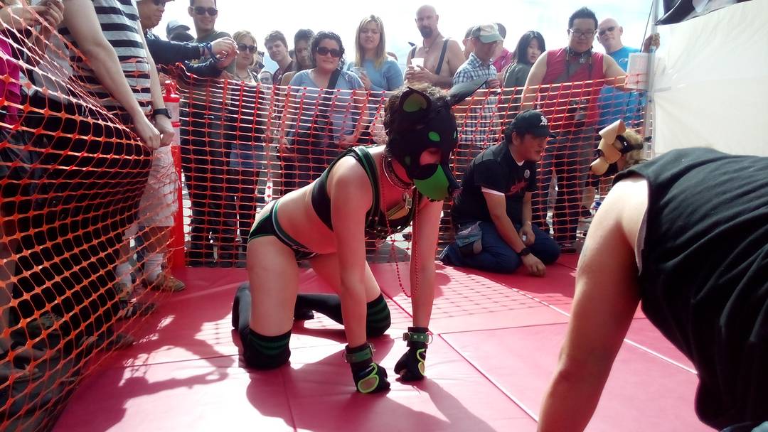 Kato and Pepper in pup play gear and masks at the Folsom Street Fair, including a man in a tiger costume.