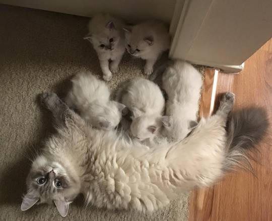 Food queue etiquette