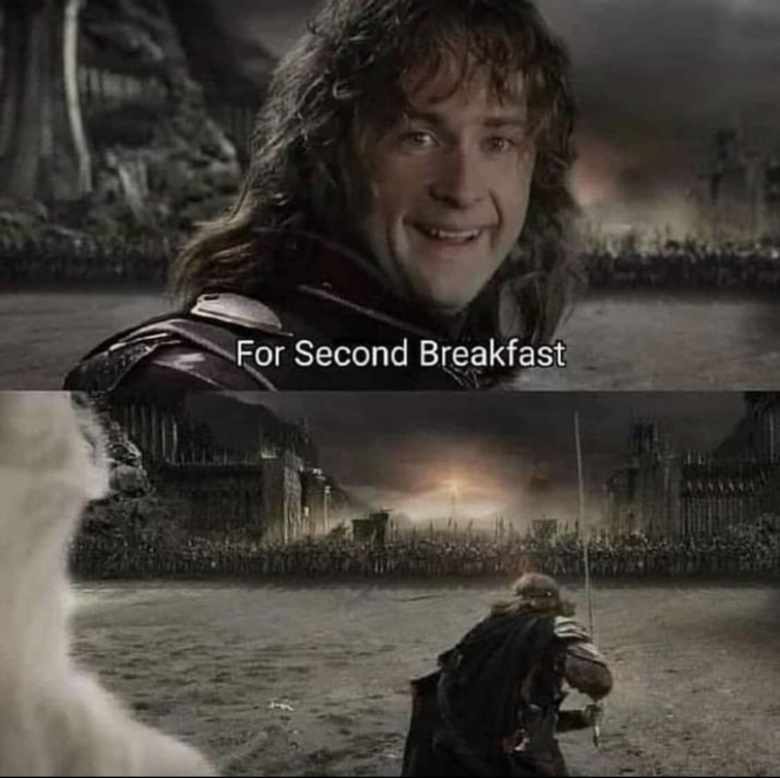 Fool of a Took