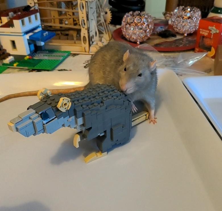 For those of you who liked the Lego rat I made, here he is with Gandalf who doesn't quite know what to think of his new "brother"