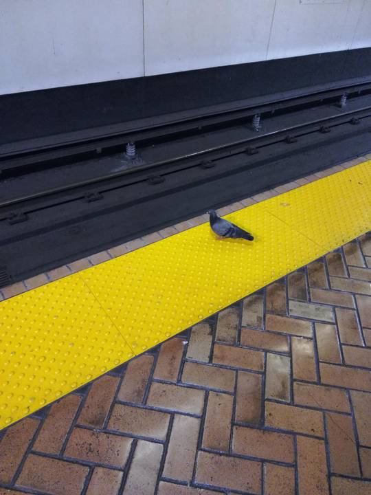 For your safety, please stand behind the yellow line