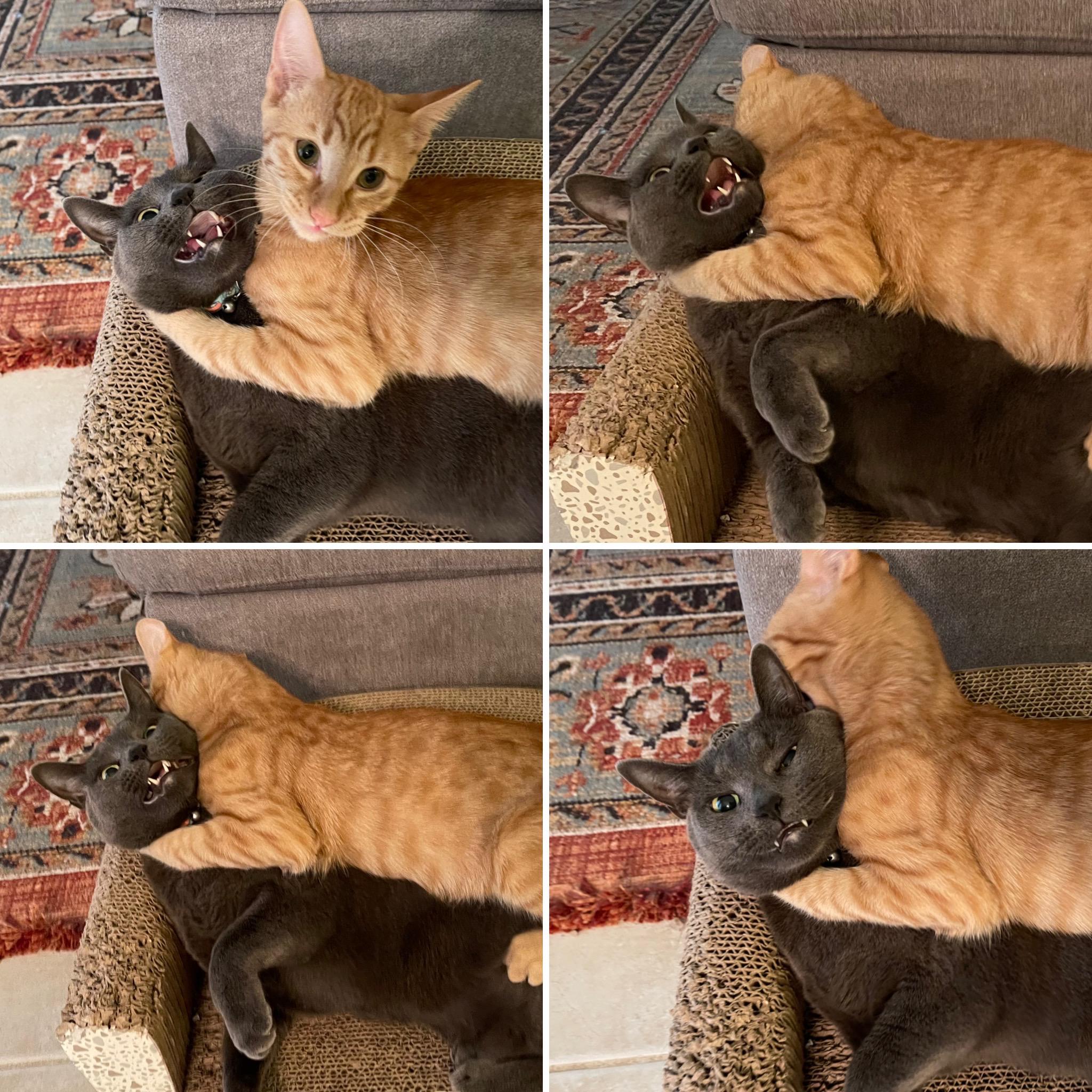 Forced into submission.