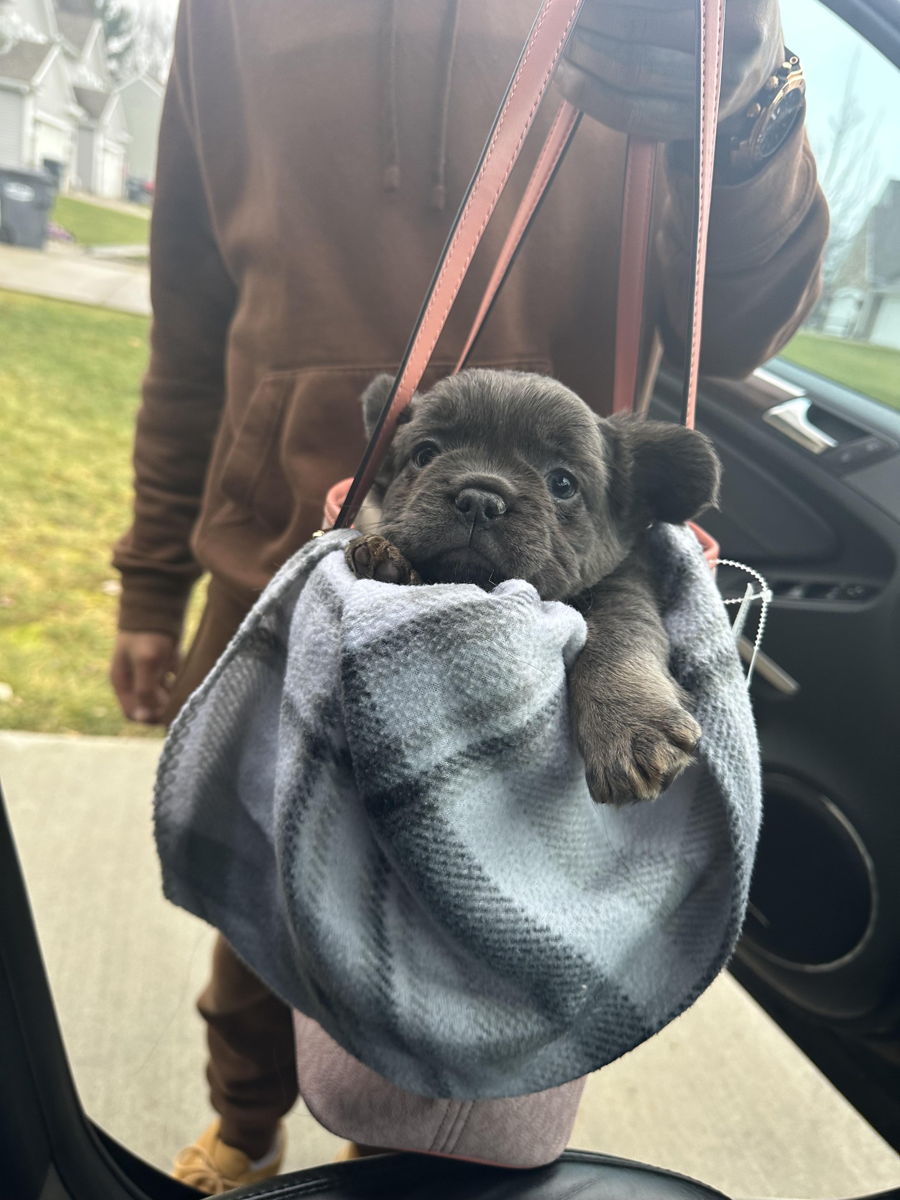 Found this cuddly bear