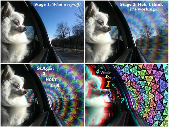 Four stages of tripping balls