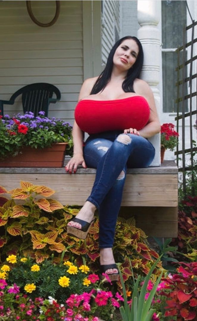 Foxy Menagerie Verre