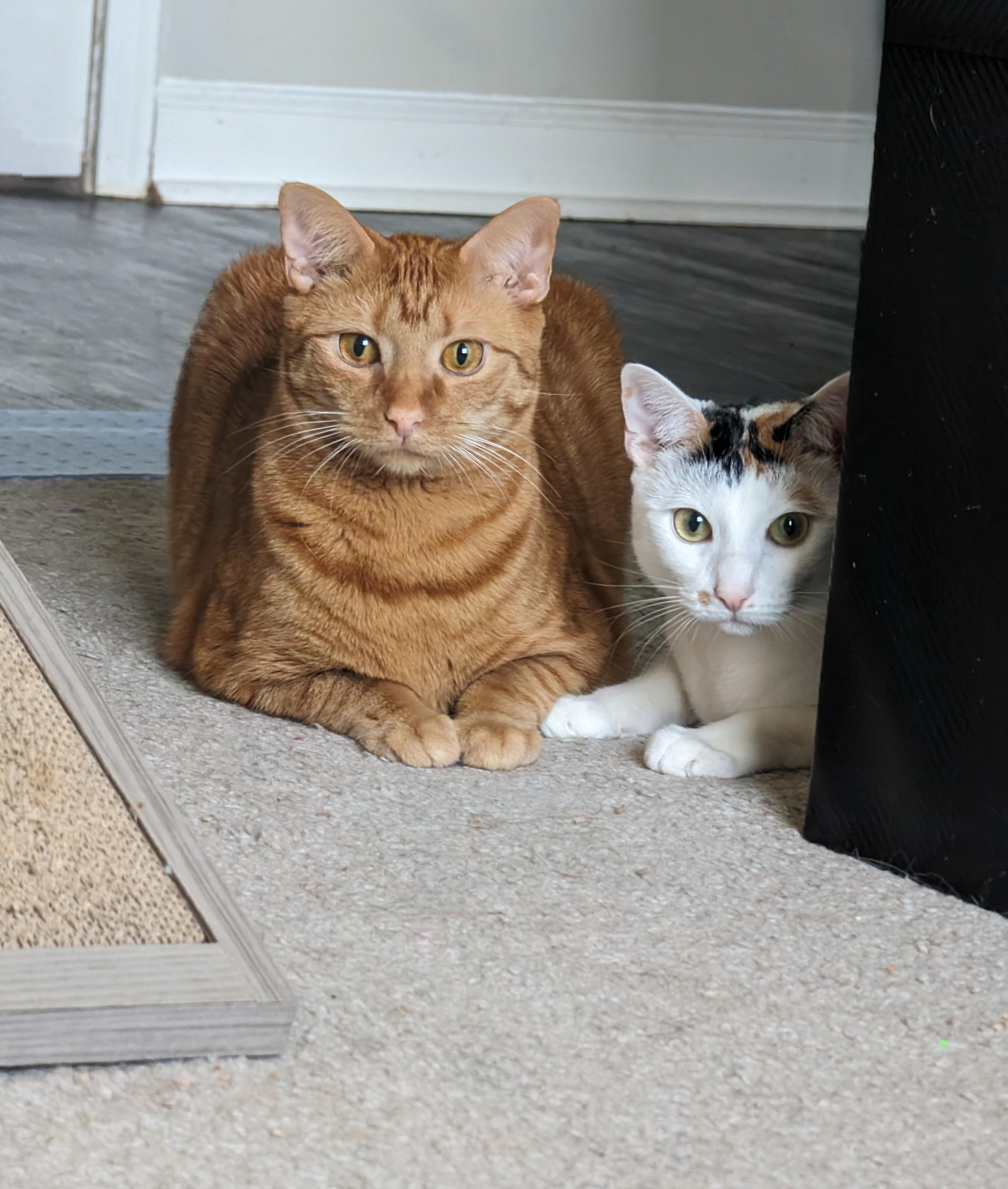 Frax loves to take care of his little sister, Simmy