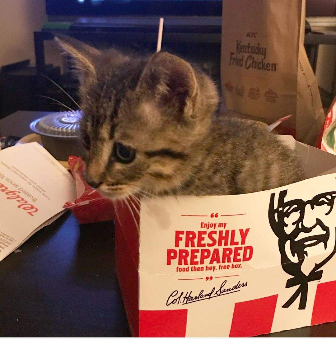 Freshly prepared.