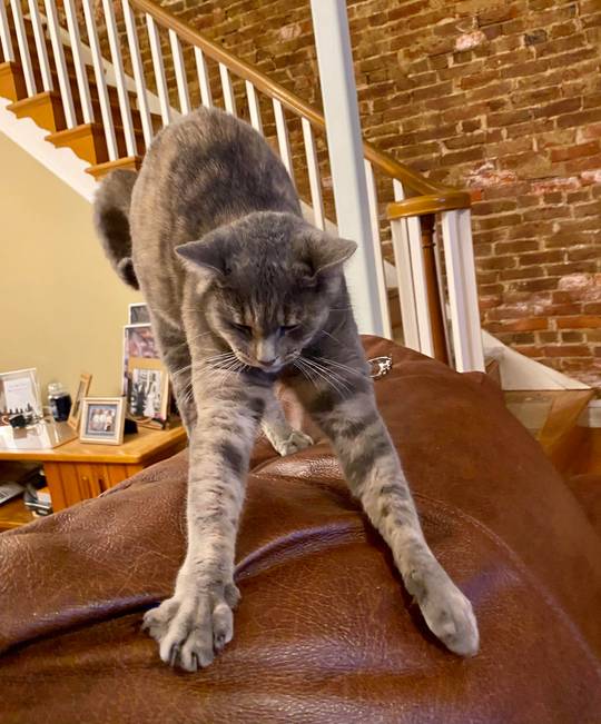 Caught Ruby mid-s t r e t c h