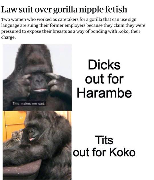 G o R i L l A.png.jpg.tiff.webp